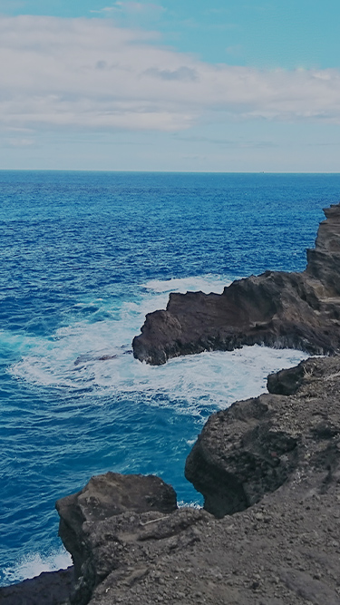 ハワイの海
